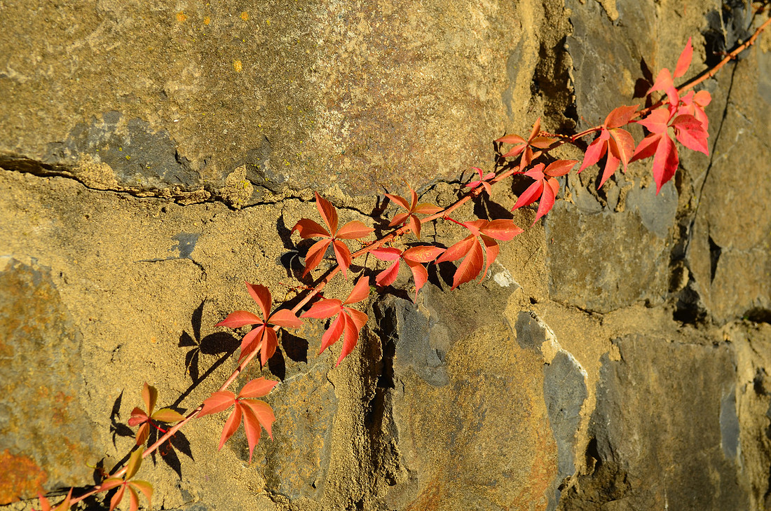 Stone Wall