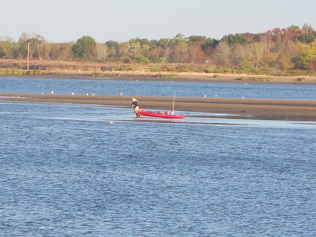 Kayak