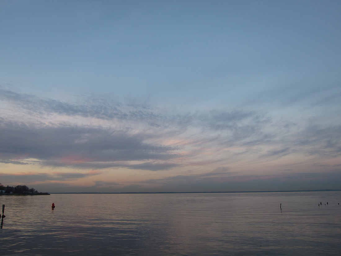 Buoy
