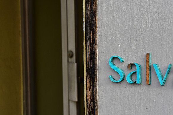 Salv