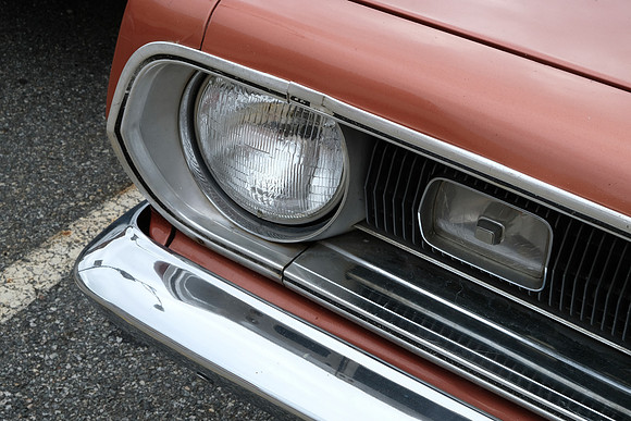 Barracuda
