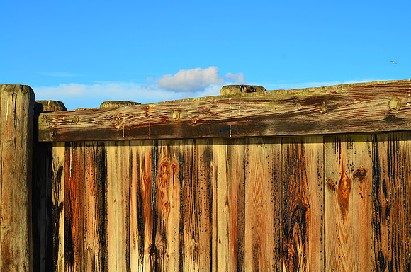 Wood