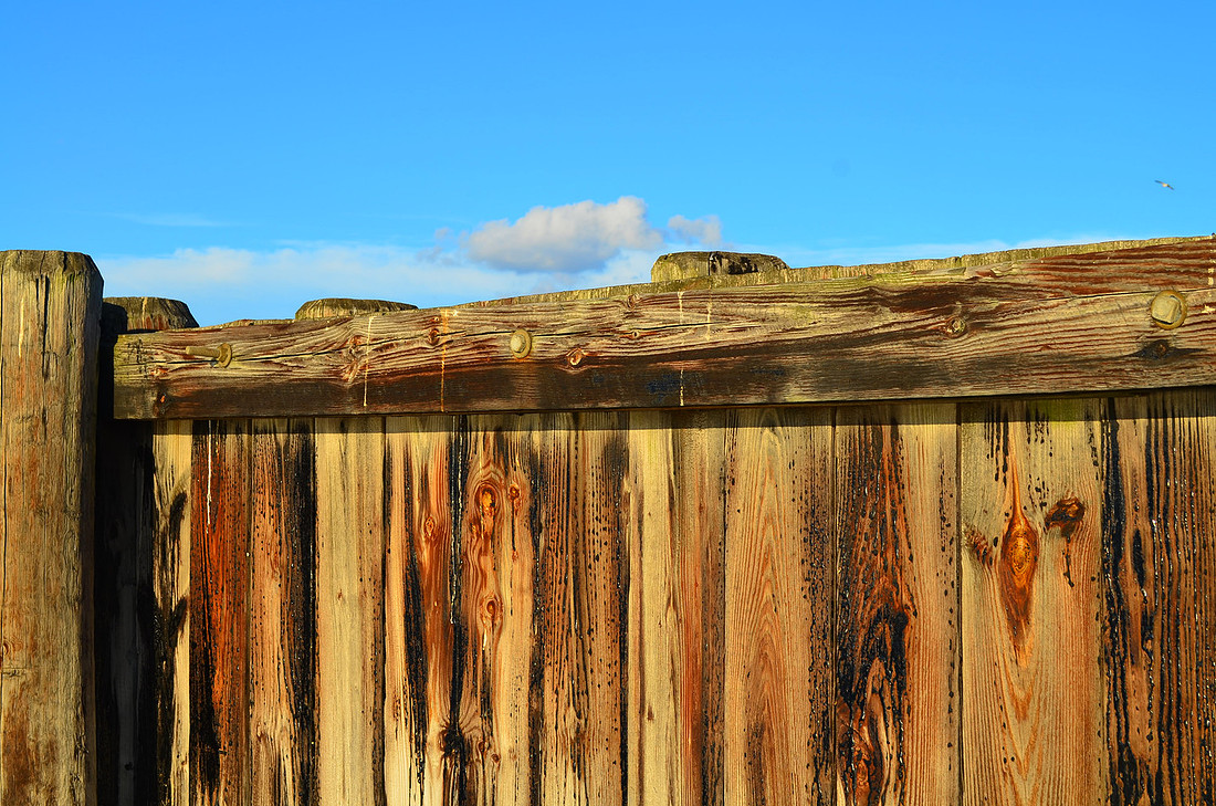 Wood
