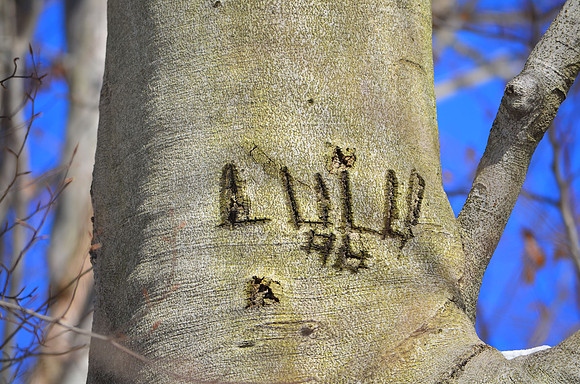 Lulu