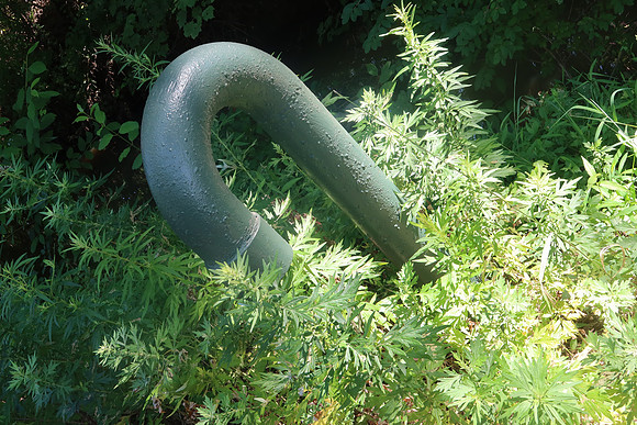 Weedy Pipe