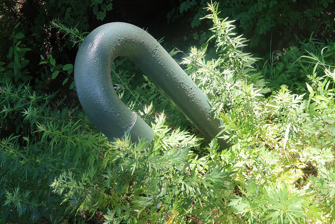 Weedy Pipe