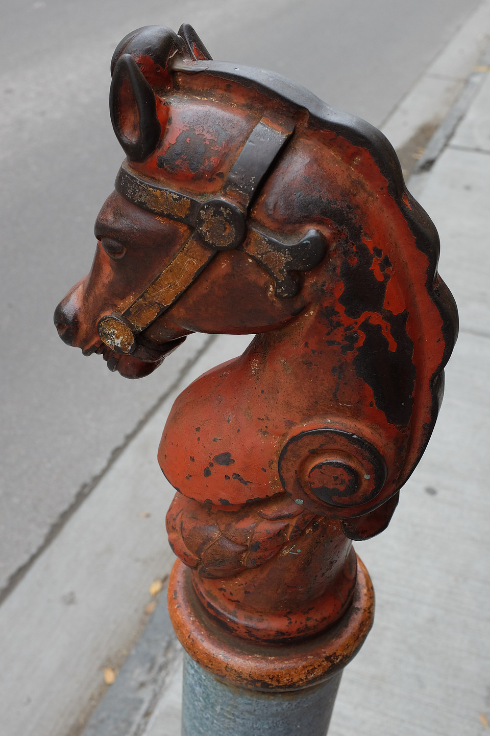Horse