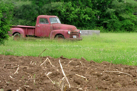 Field Find