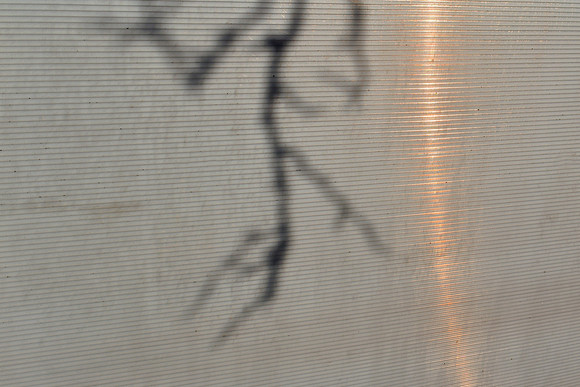 Shadow Light