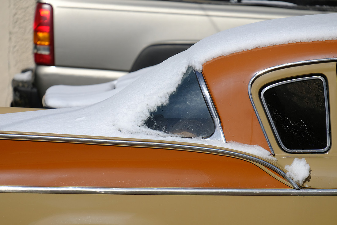 Snowy Stude