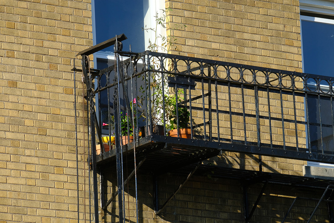 Escape Plants
