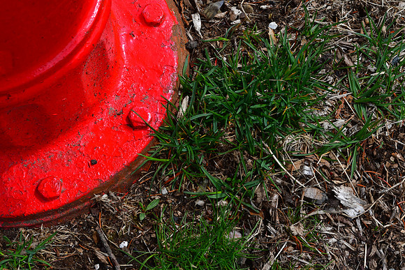 Red Flange