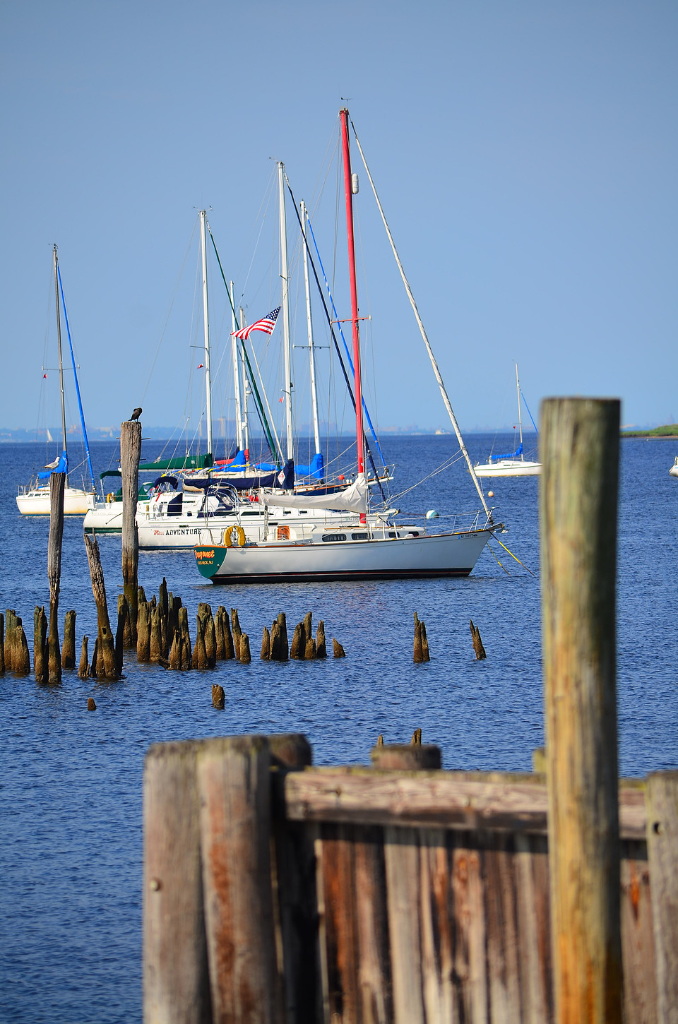 Red Sail