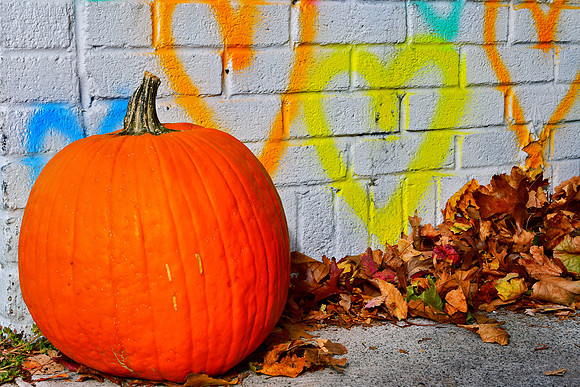 Pumpkin Love