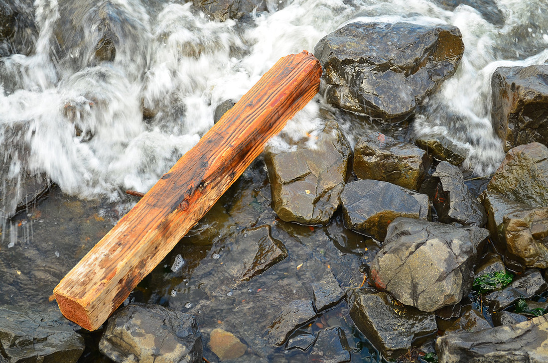 Wet Wood