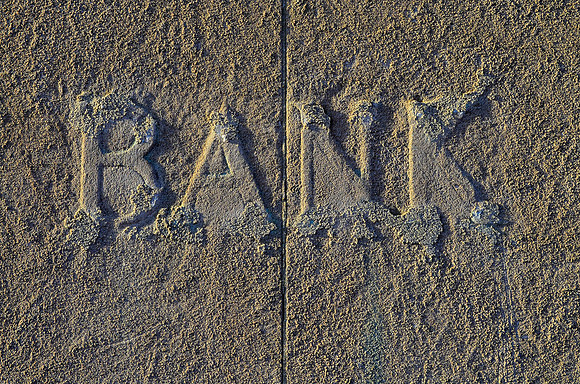 Bank