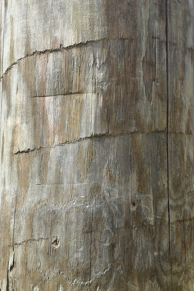 Pole Texture