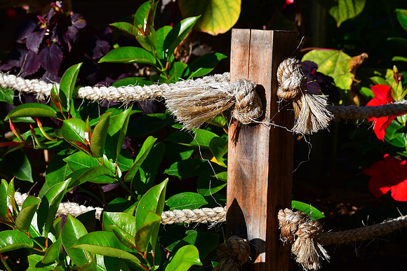 Tied Up