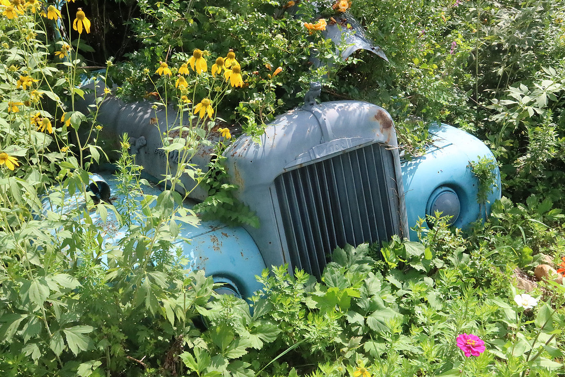 Through the Flowers