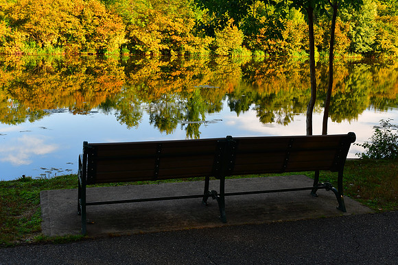 Bench View