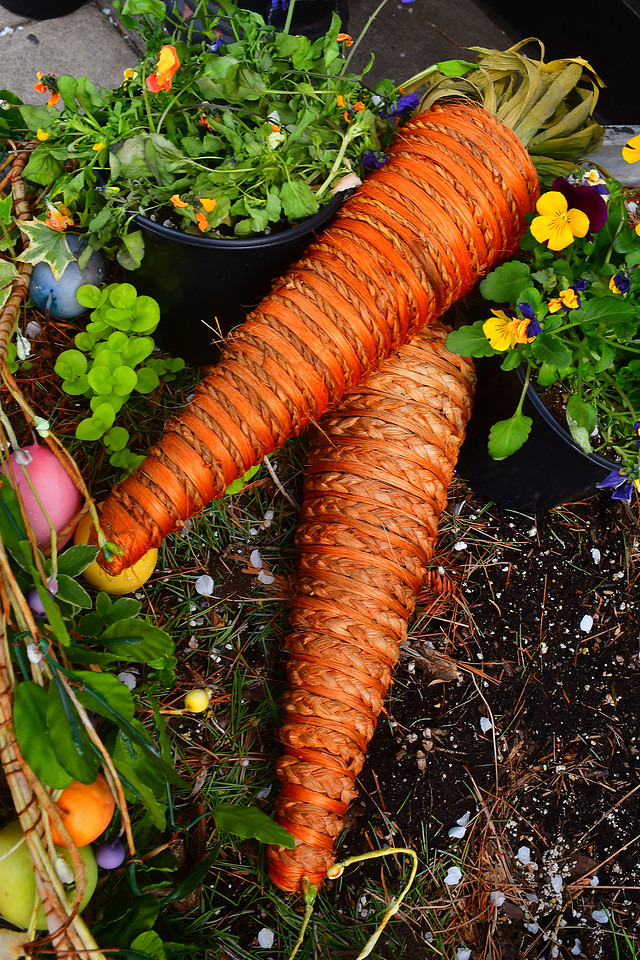 Easter Carrots
