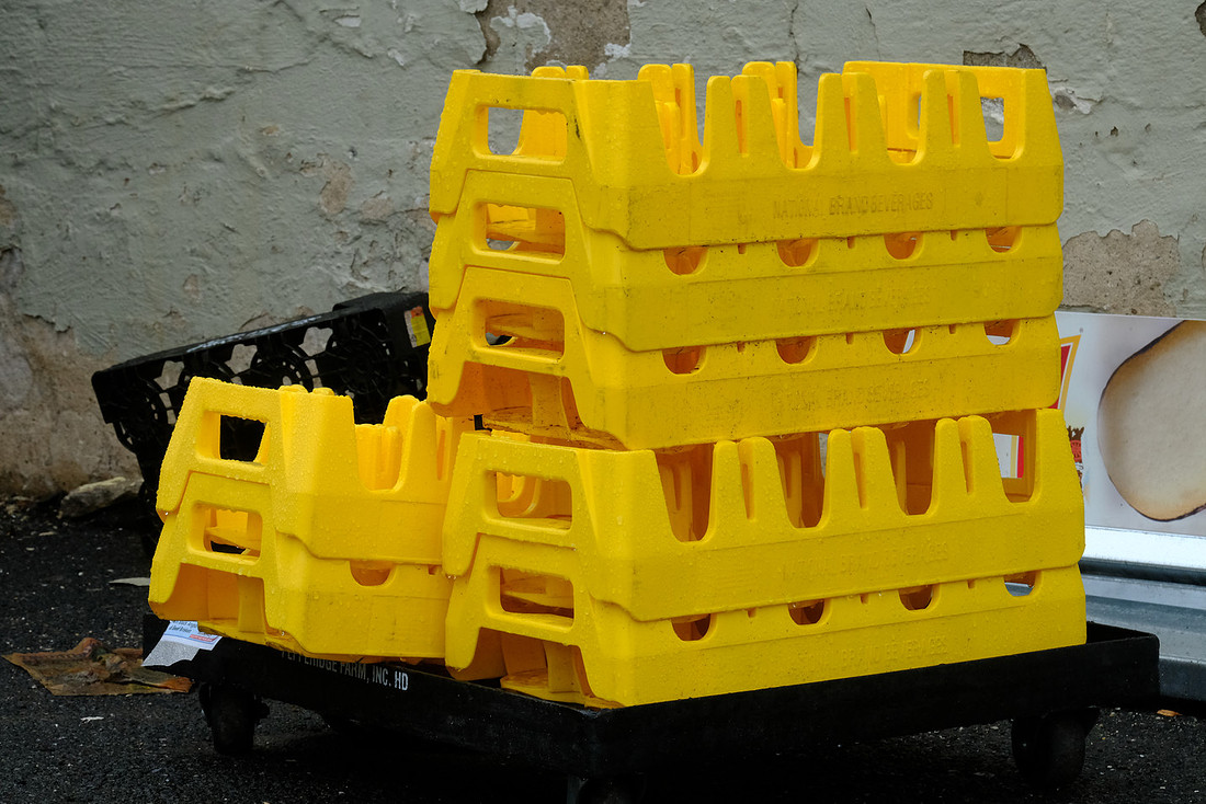 Yellow on Dolly