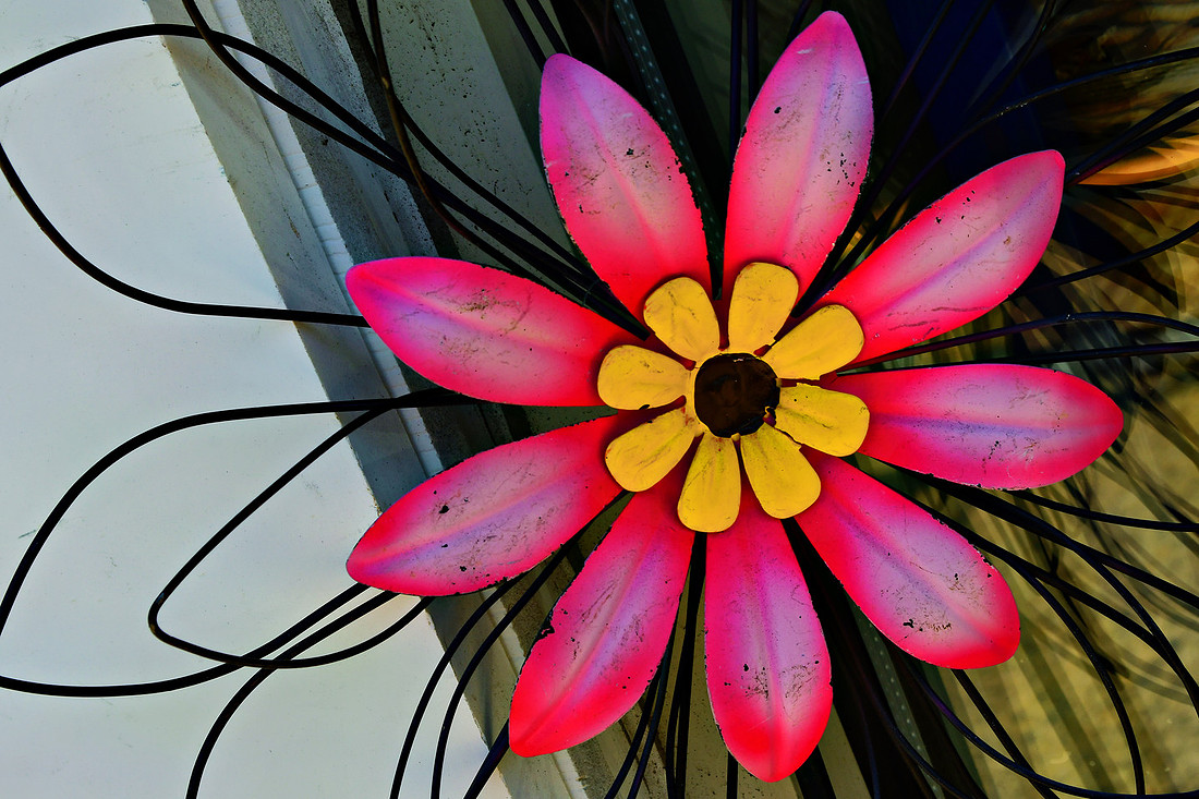 Worn Flower