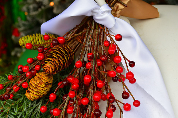 Pine Cones and Berries