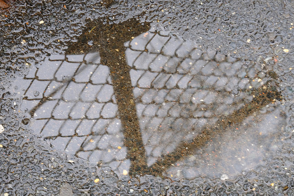 Puddle Fence