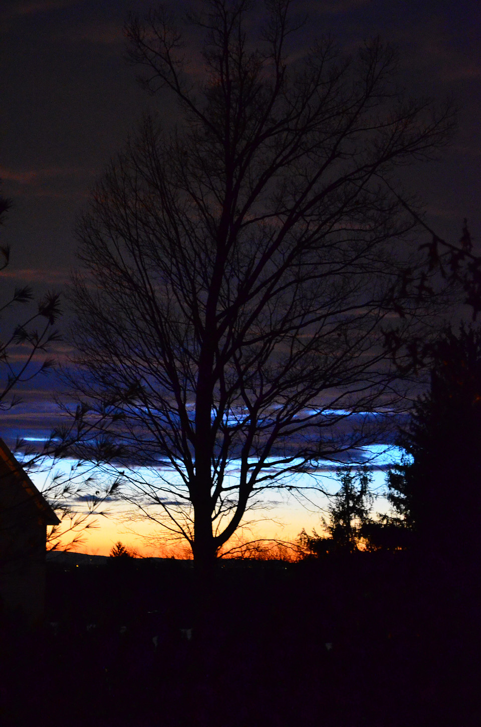 Color and Shadow