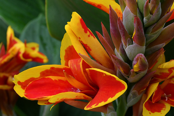 Fiery
