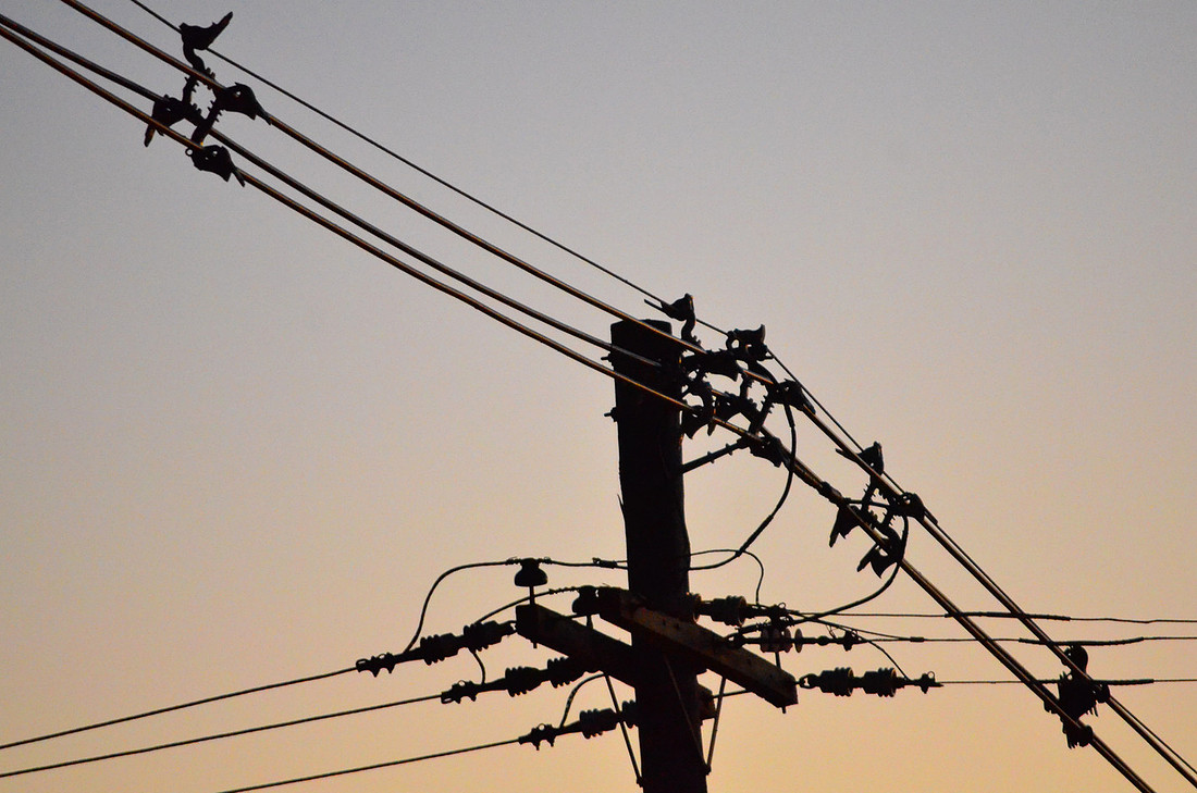 Wires