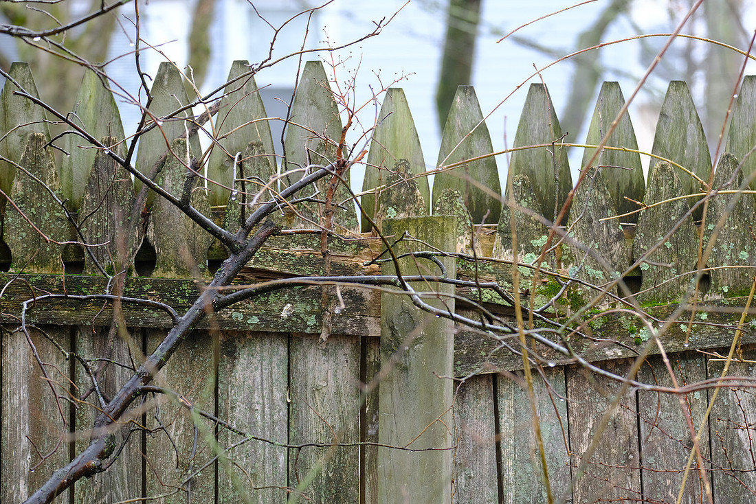 Worn Fence