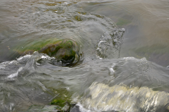 Wave