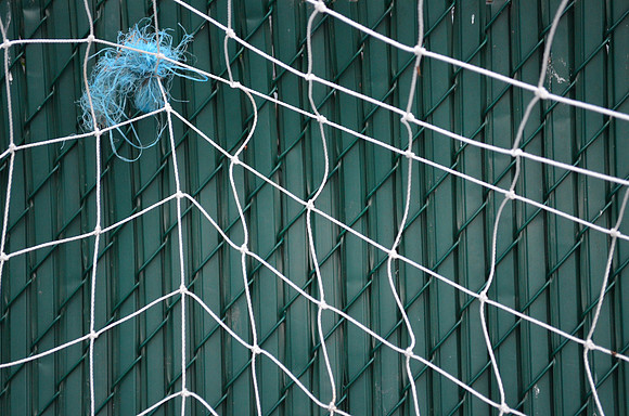 Web