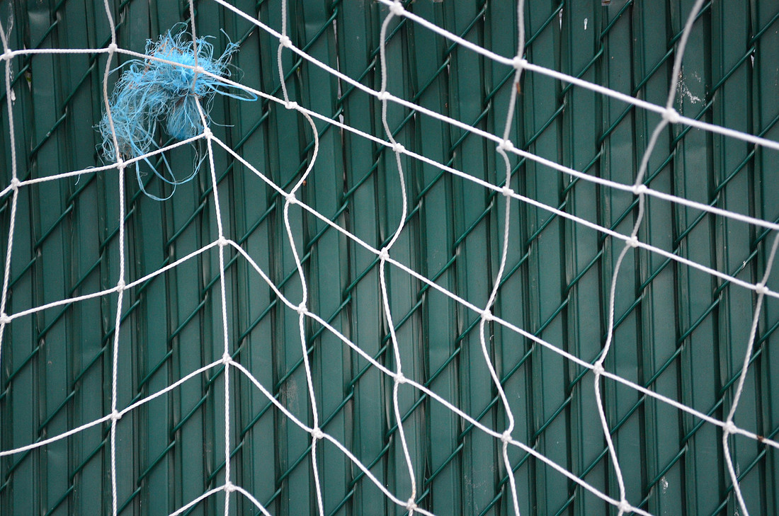 Web