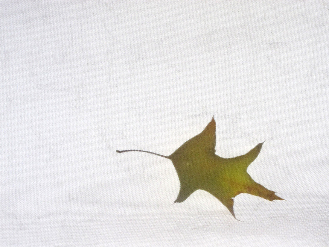 Fall Shadow