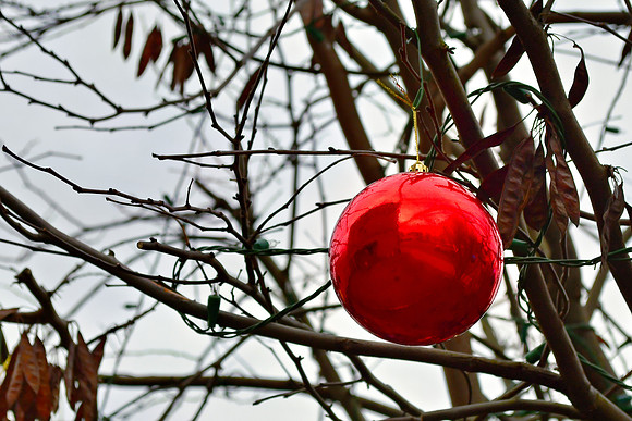 Red Ornament
