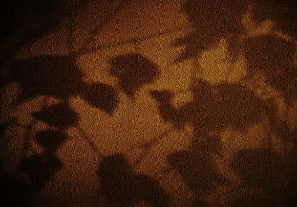 Shadow
