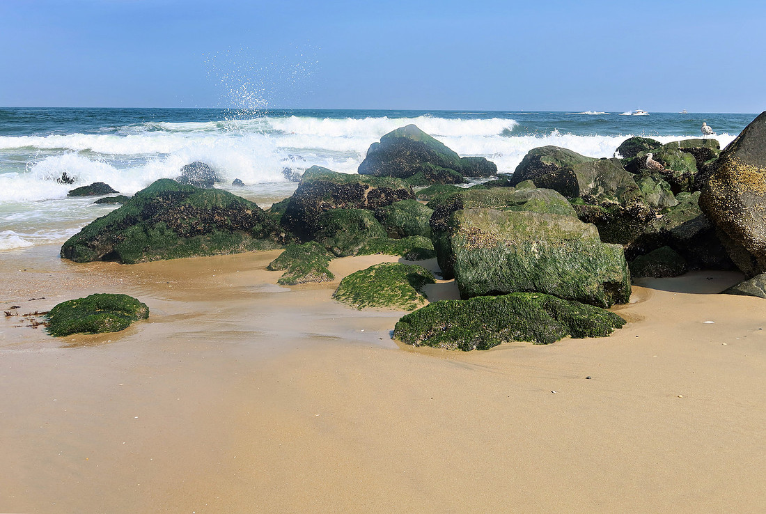 Beach Rocks
