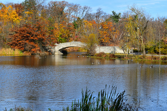 Fall Bridge
