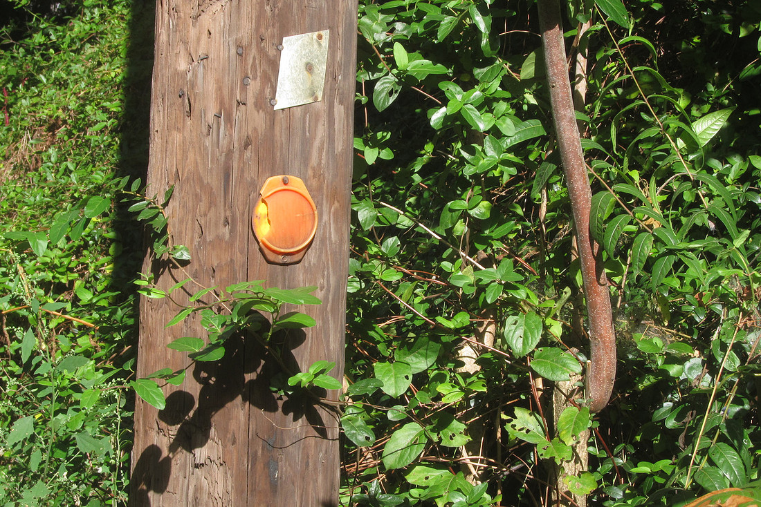 Broken Reflector