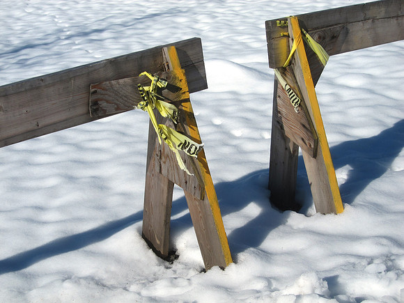 Snow Horses