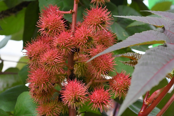 Spiky