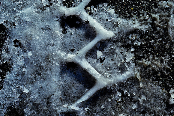 Cold Track