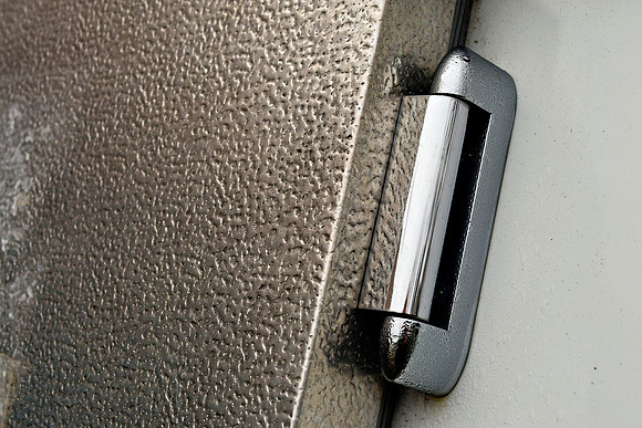 Shiny Hinge