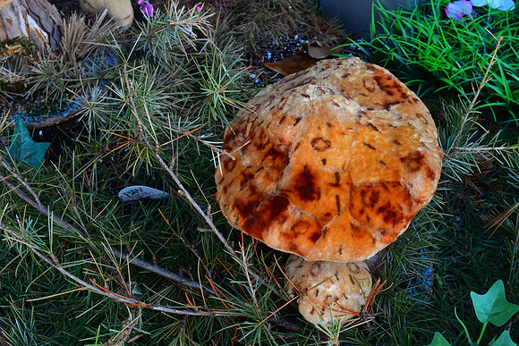 Faux Fungi