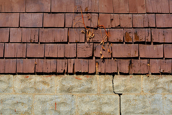 Weedy Wall