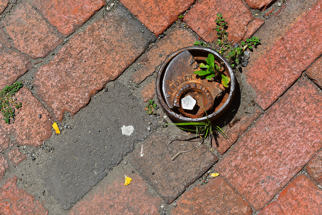 Seeking Water