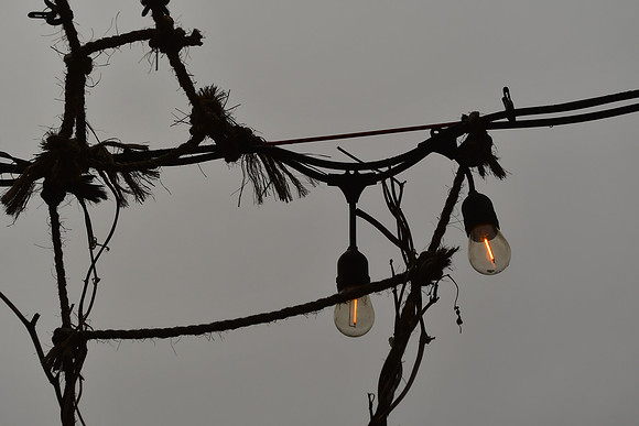 Gray and Frayed